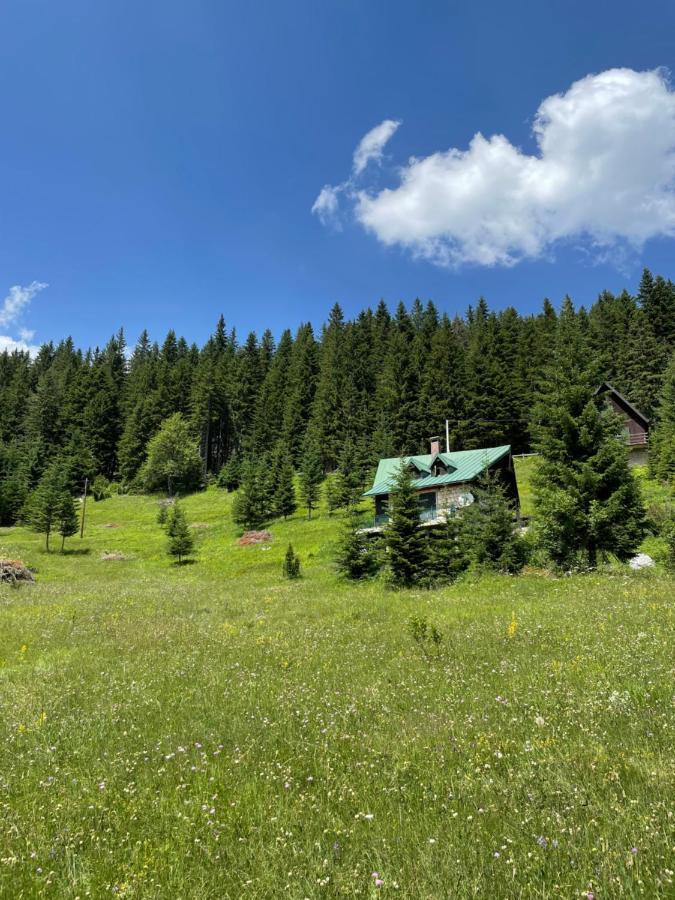 Villa Magic Mountain Žabljak Exterior foto