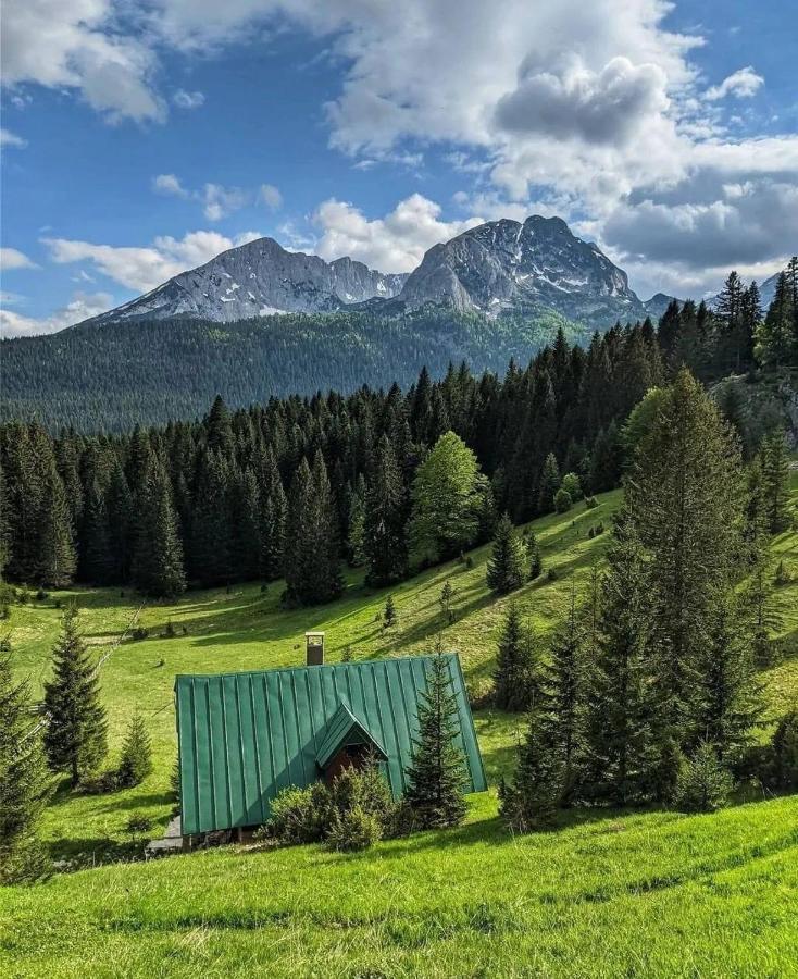 Villa Magic Mountain Žabljak Exterior foto