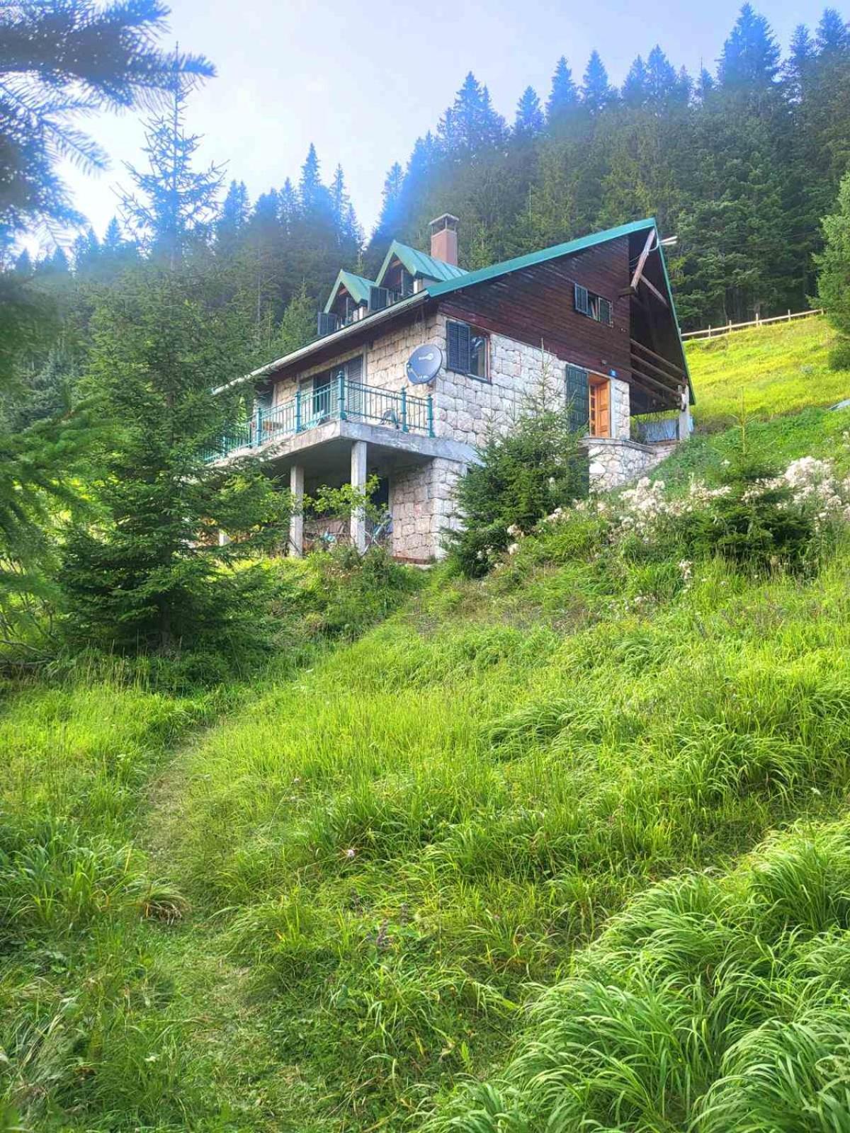Villa Magic Mountain Žabljak Exterior foto